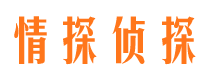 富平市侦探调查公司